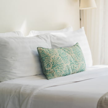 Travesseiro Pluma de Ganso Travesseiro Pluma de Ganso